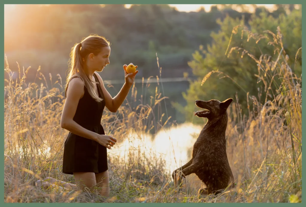 Portrait of a Dutch Shepherd and his owner by your pet photographer in Lyon.